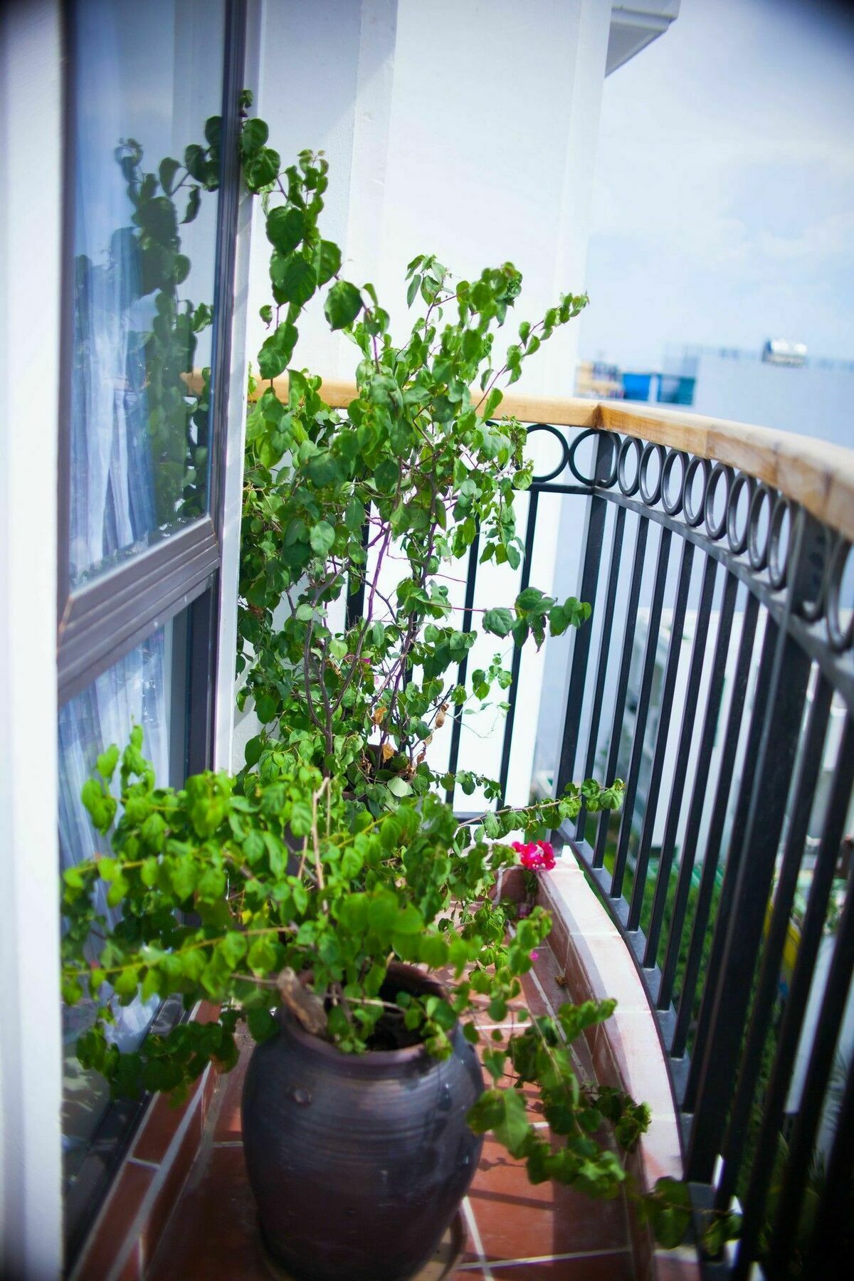Eco Green Boutique Hotel Da Nang Luaran gambar